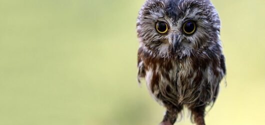 Stilstaan bij wat al gelukt is